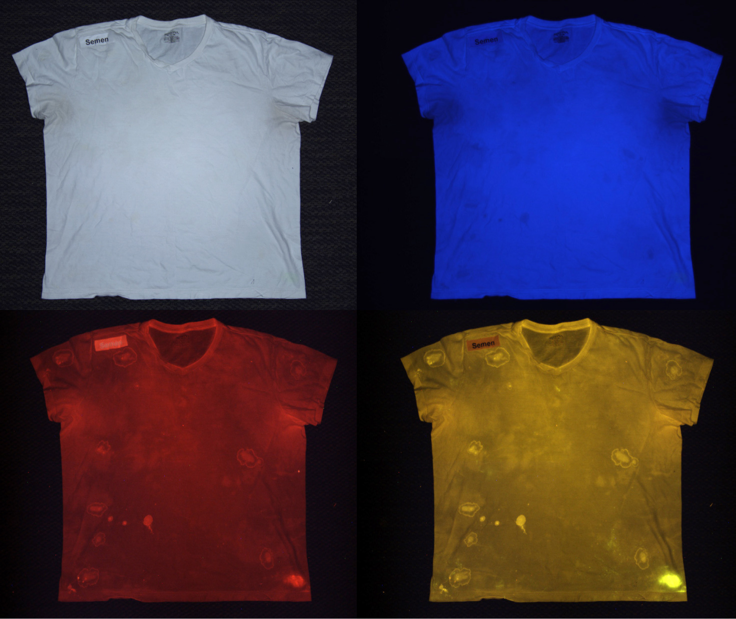 LSV2 images of same white shirt under various lighting options